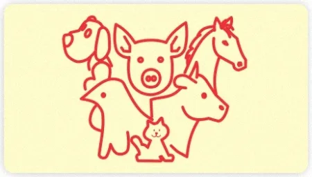 division veterinaria