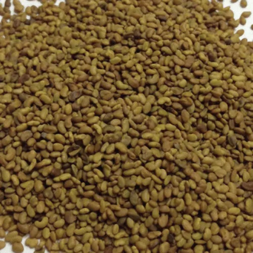 Alfalfa Altasierra