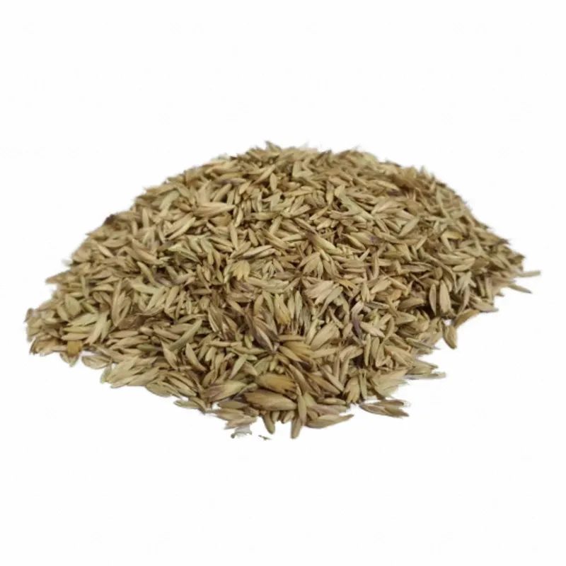 Dactylis