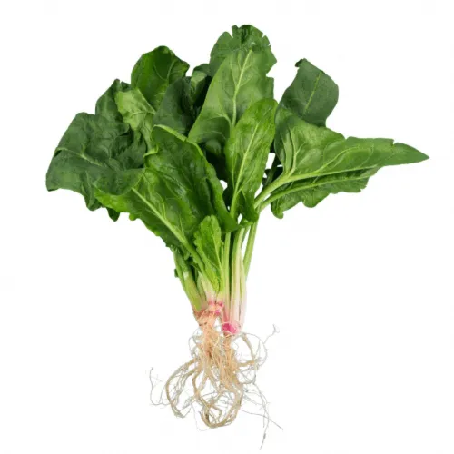 Espinaca