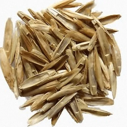 Rye grass italiano