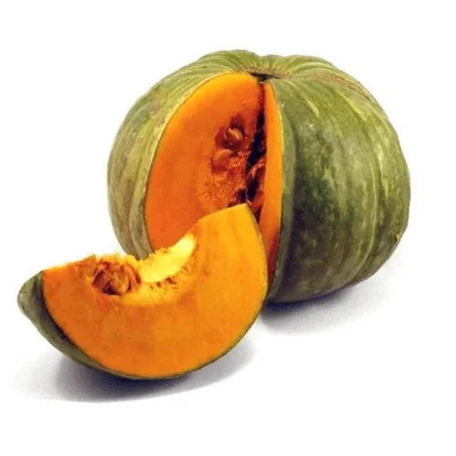Zapallo