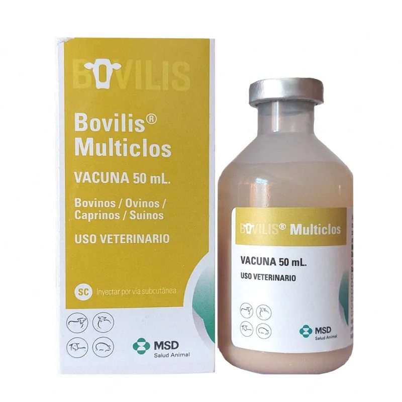 Bovilis