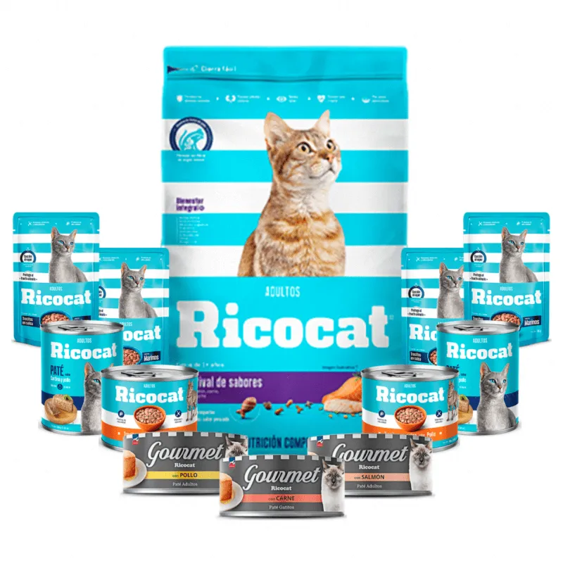 Rico Cat