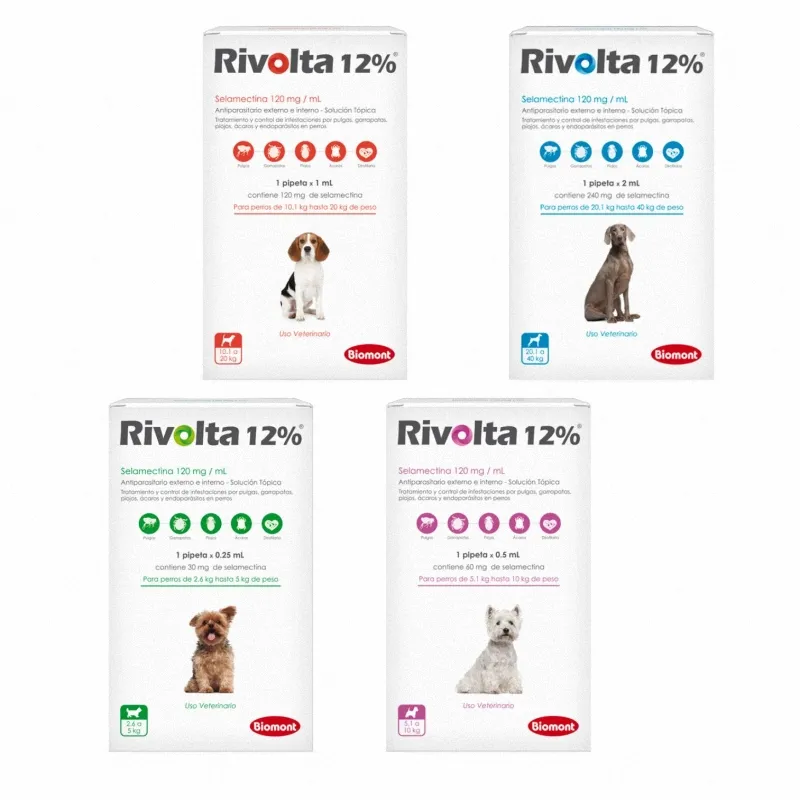 Rivolta 12%