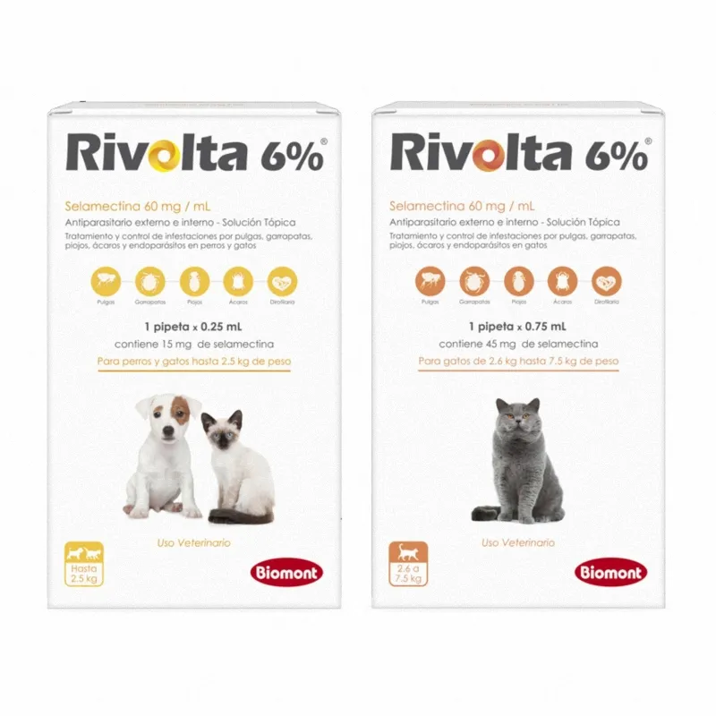 Rivolta 6%