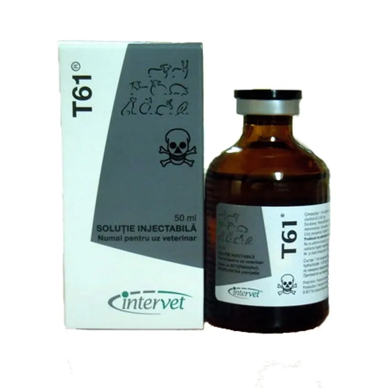 t61